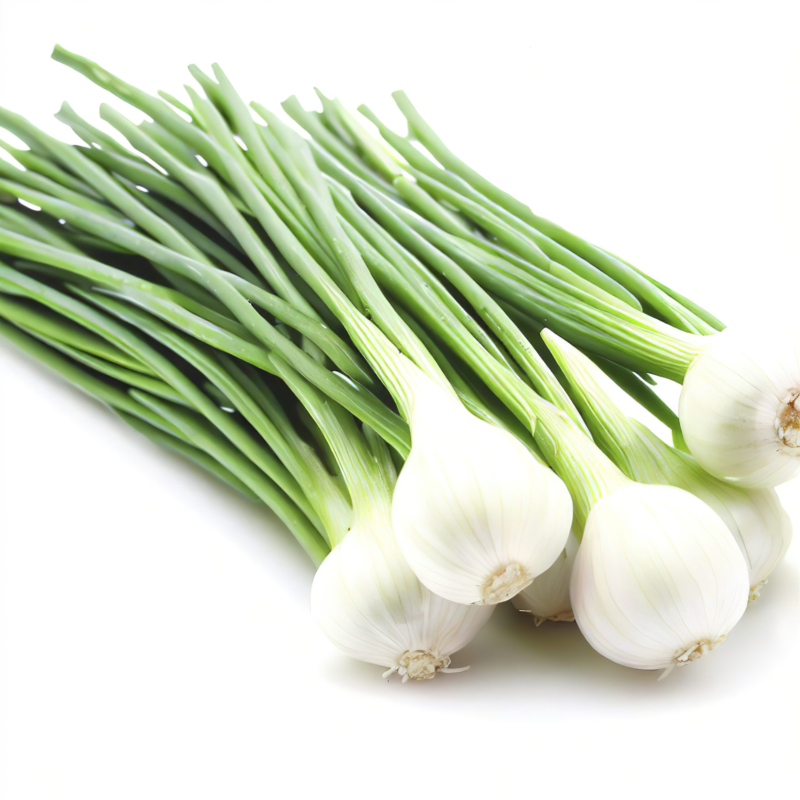 Cebolleta 1.80€ manojo