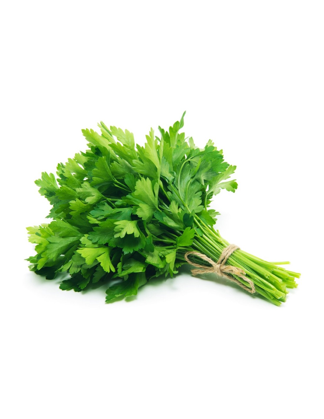Perejil 0.80€ manojo