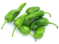 Pimiento de Padrón