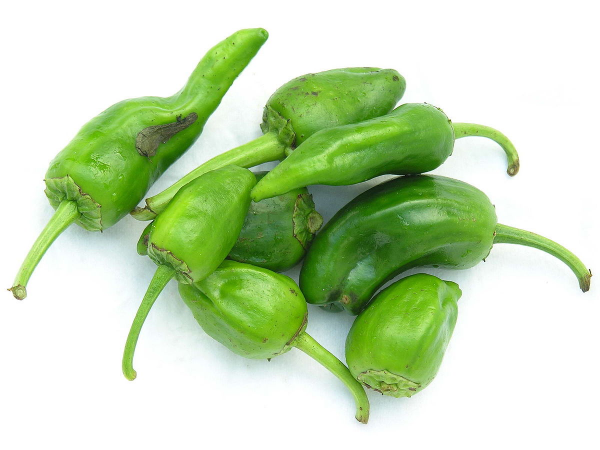 Pimiento de Padrón