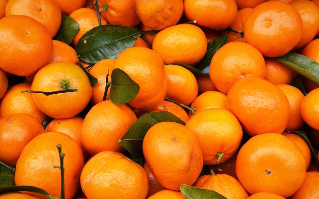 Mandarinas frescas – Gran variedad disponible